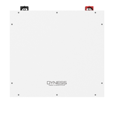 Dyness 5.12kWh 100Ah LiFePo4 Lithium Ion Battery – DL5.0C (New Generation)